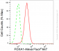 KD-Validated Anti-Forkhead box A1 Rabbit Monoclonal Antibody